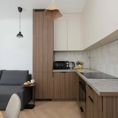 Modern Near Downtown By Renters